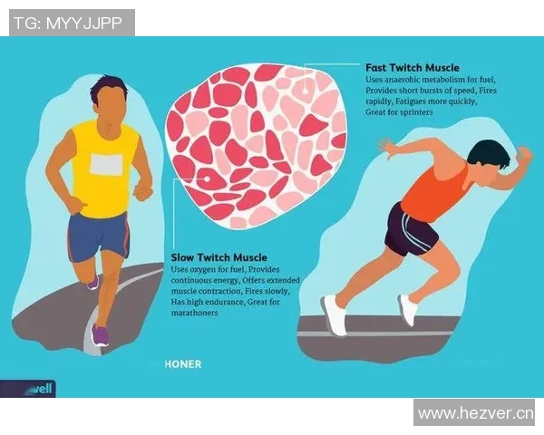 无氧运动对提升肌肉力量和燃烧脂肪的关键作用与科学原理解析