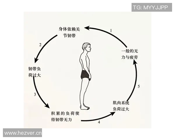 运动科学视角下的身体健康与运动表现优化策略探讨
