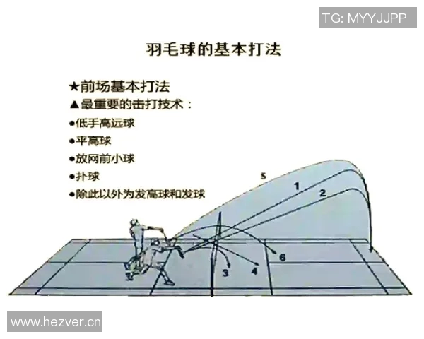 南京羽毛球队选拔赛战术分析与表现评估探讨